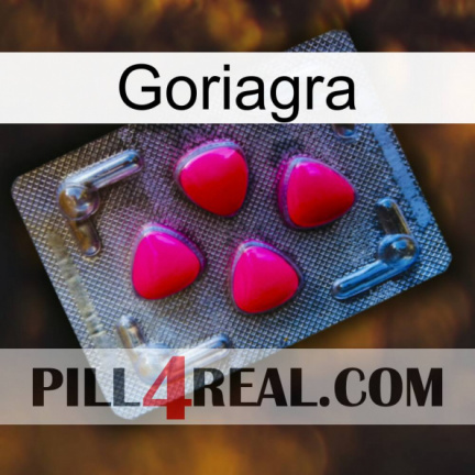 Goriagra 13